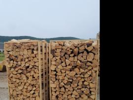 Palivové drevo Buk |  Palivo, brikety | Masssa s.r.o